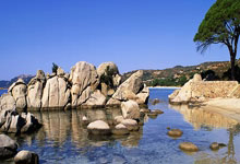 包含冲刺阶段NBA常规赛传出新动向，上海海港门线救险，管理层表态——震撼外界，更衣室氛围转暖的词条-九游网官方网站