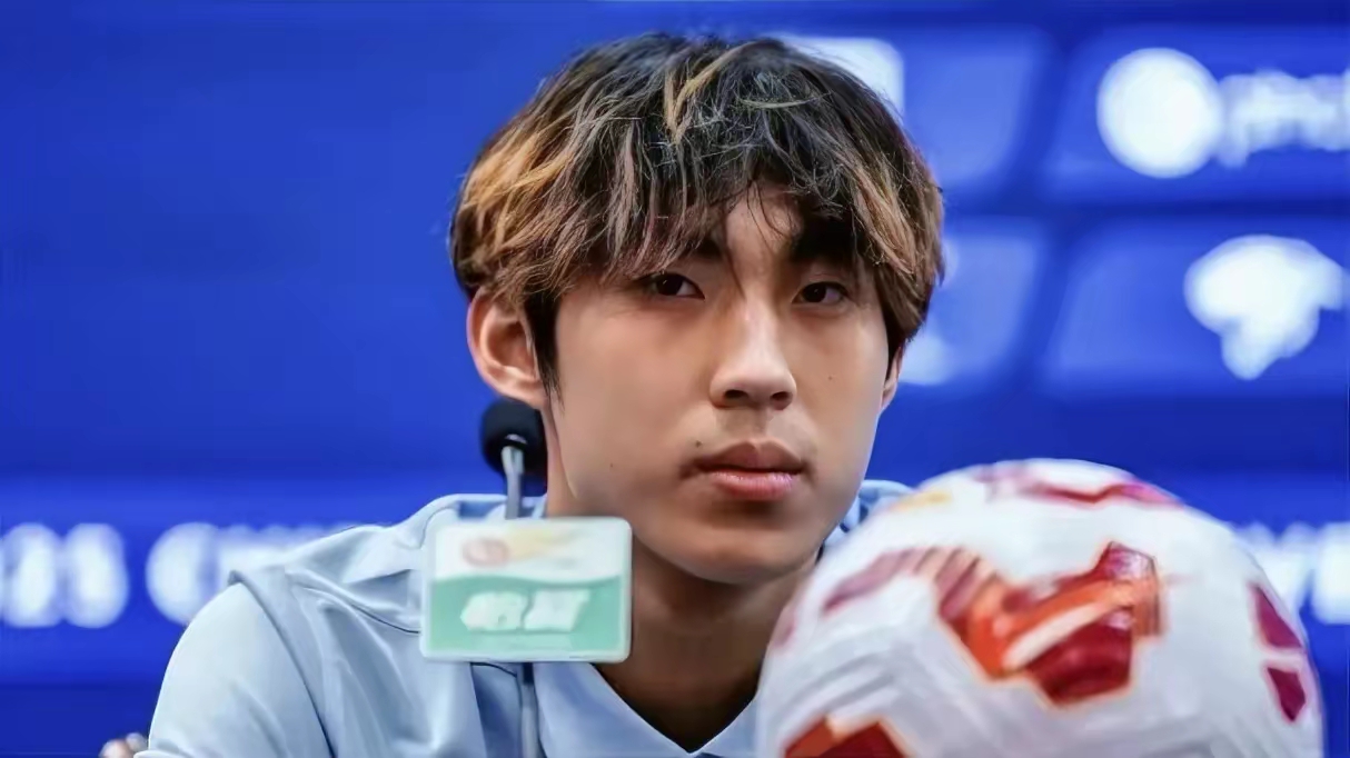 飞机被导弹击落原因